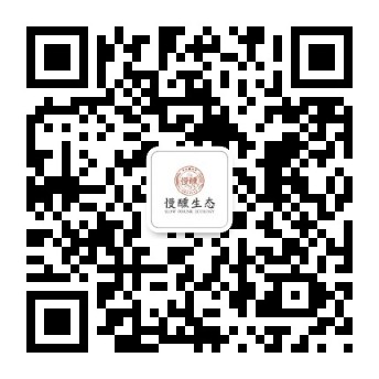 ΢�Ź��ںŶ�ά��